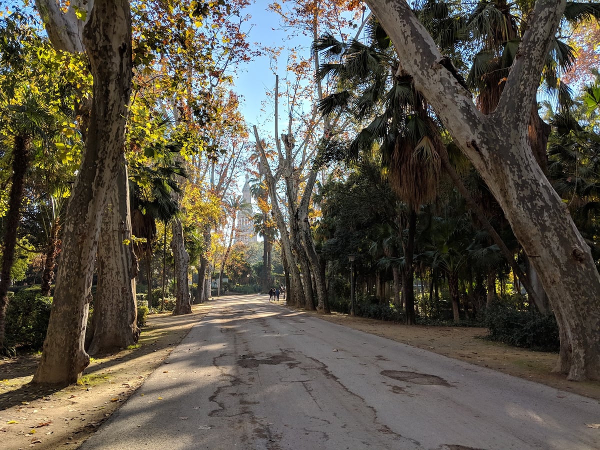 Calle, edificio, monumento o paisaje urbano de Sevilla
