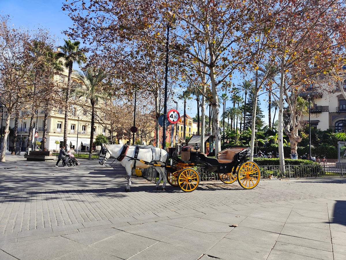 Calle, edificio, monumento o paisaje urbano de Sevilla