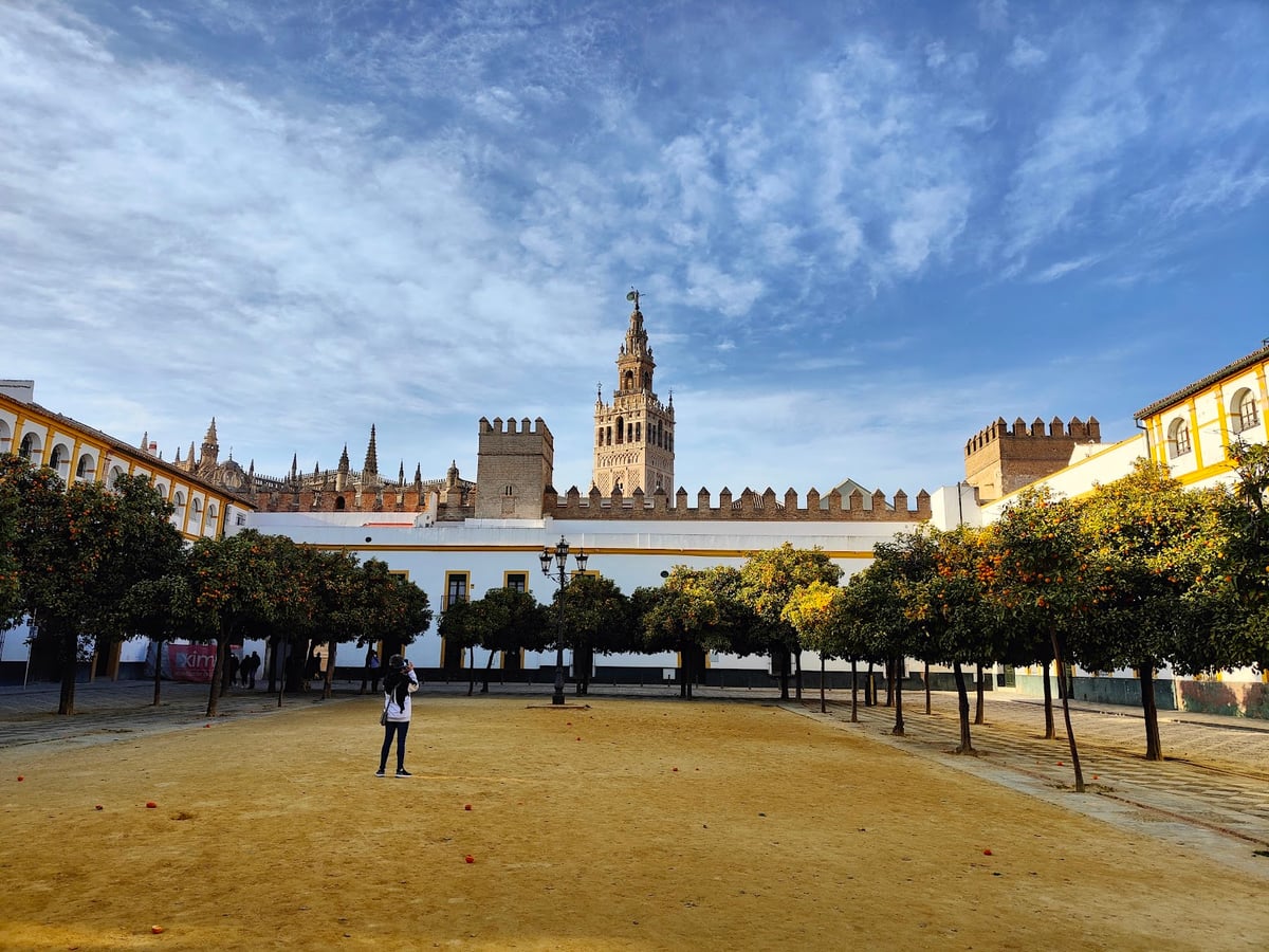 El Patio de Banderas del Real Alcázar de Sevilla, con el suelo de albero, los naranjos cargados de fruta alineados a los lados, la muralla almenada al fondo y la Giralda asomando tras ella.