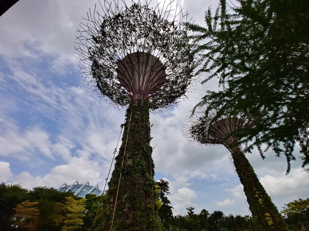 Entrada a Gardens by the Bay en Singapur
