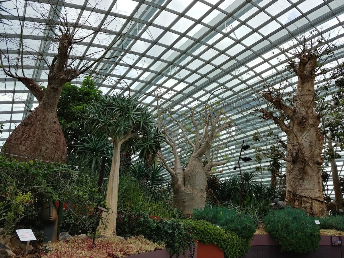 Supertrees y jardines de Gardens by the Bay en Singapur