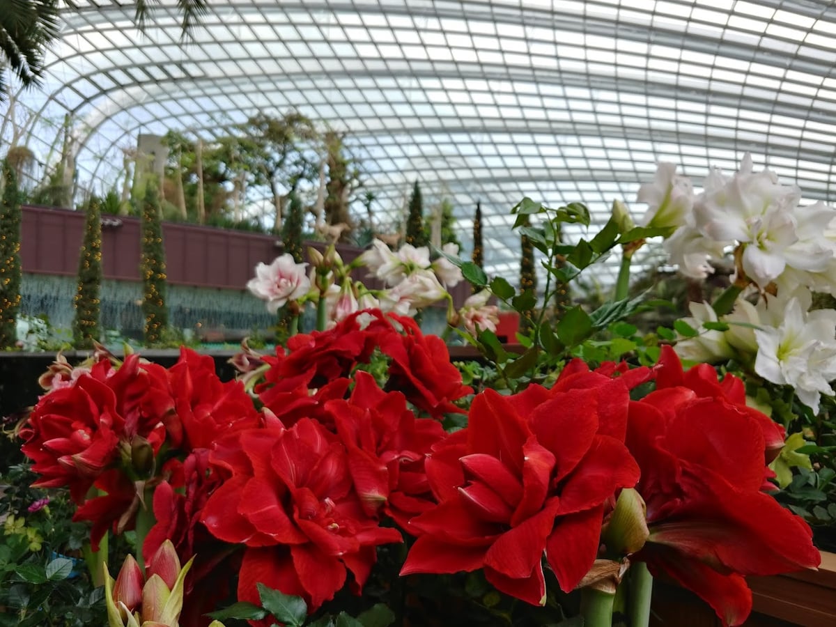 Supertrees y jardines de Gardens by the Bay en Singapur