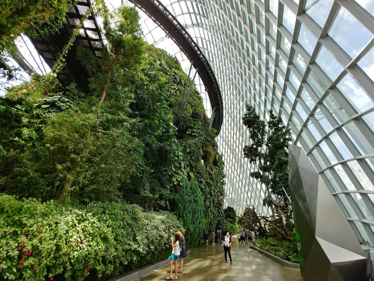 Supertrees y jardines de Gardens by the Bay en Singapur