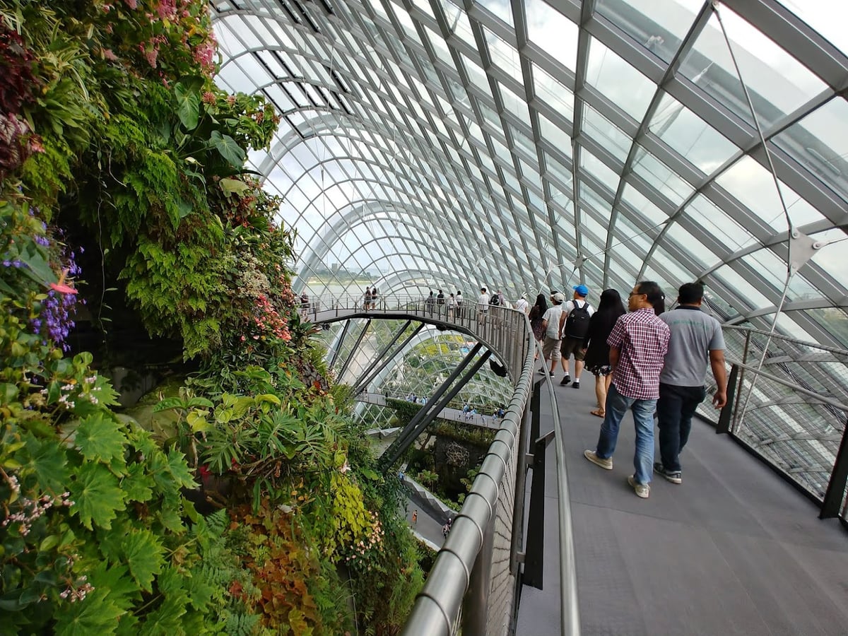 Supertrees y jardines de Gardens by the Bay en Singapur