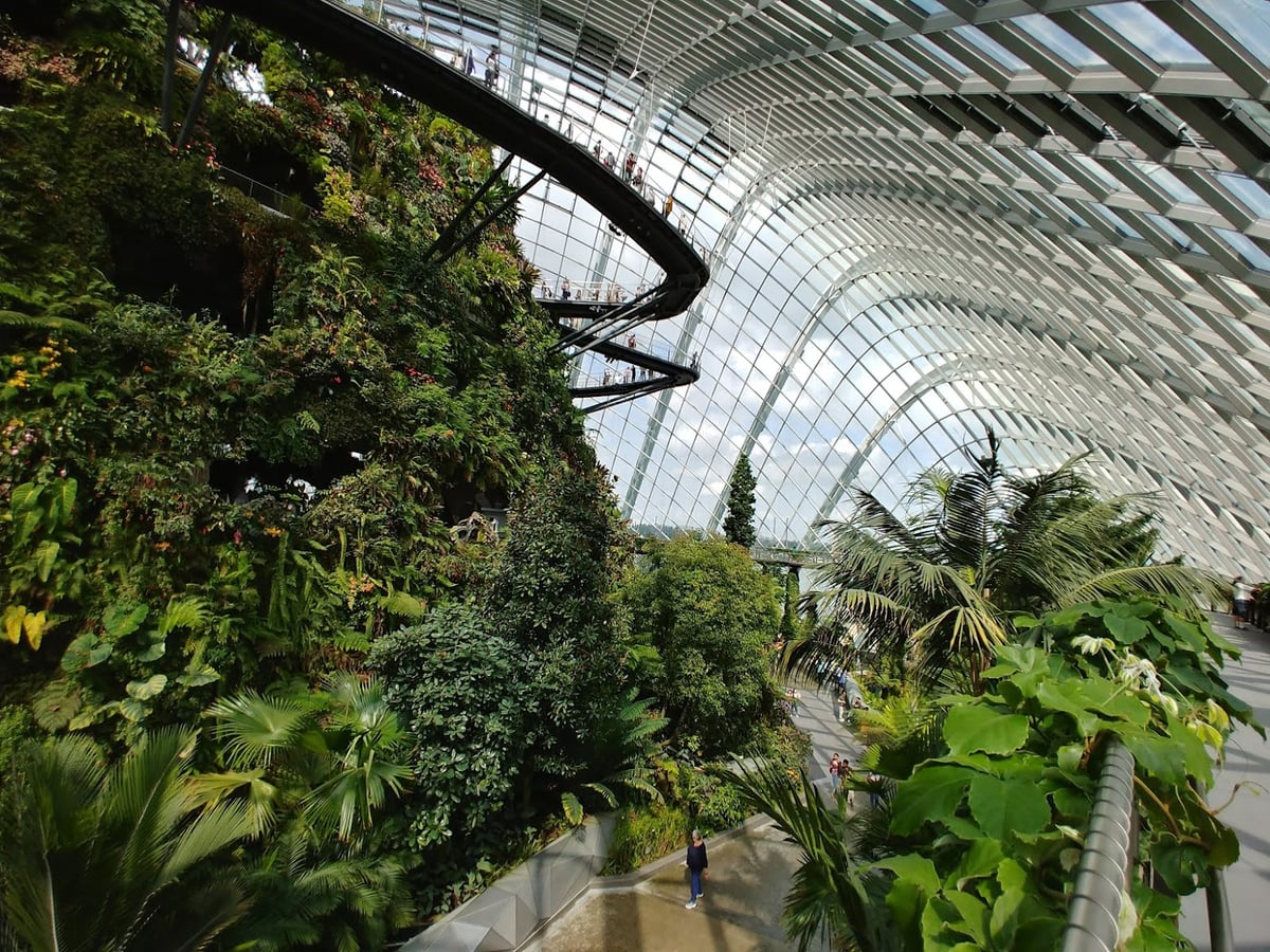 Supertrees y jardines de Gardens by the Bay en Singapur