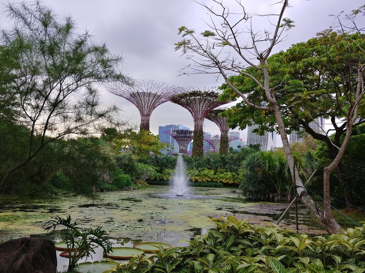 Supertrees y jardines de Gardens by the Bay en Singapur.