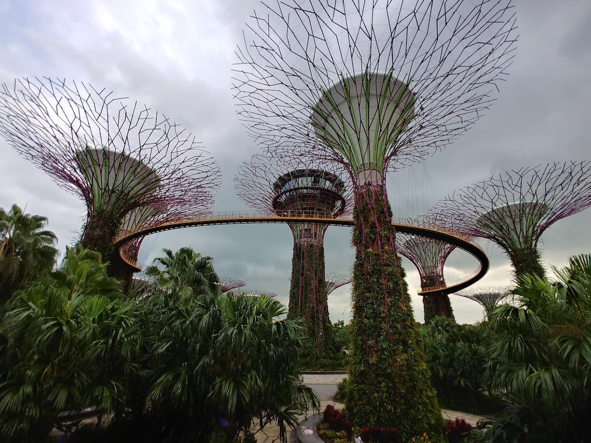 Supertrees y jardines de Gardens by the Bay en Singapur.