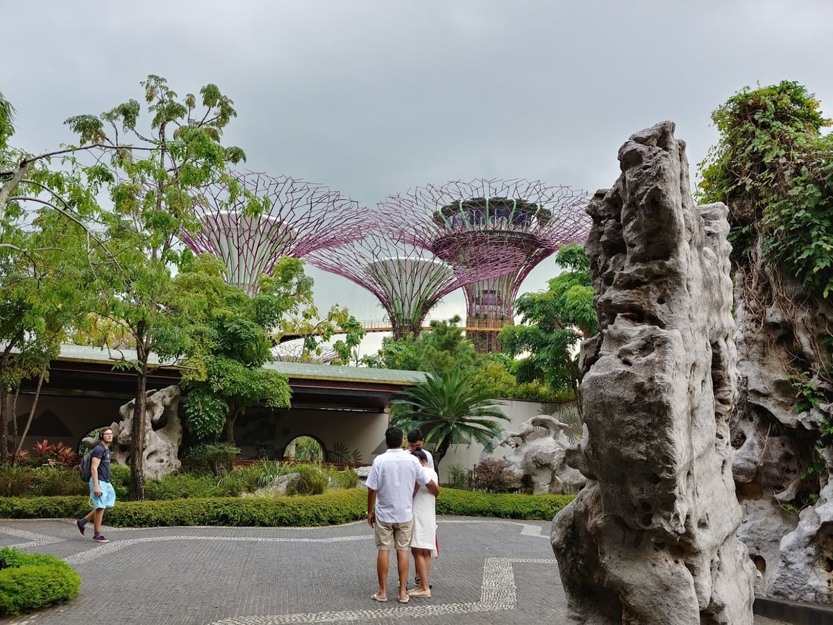 Supertrees y jardines de Gardens by the Bay en Singapur