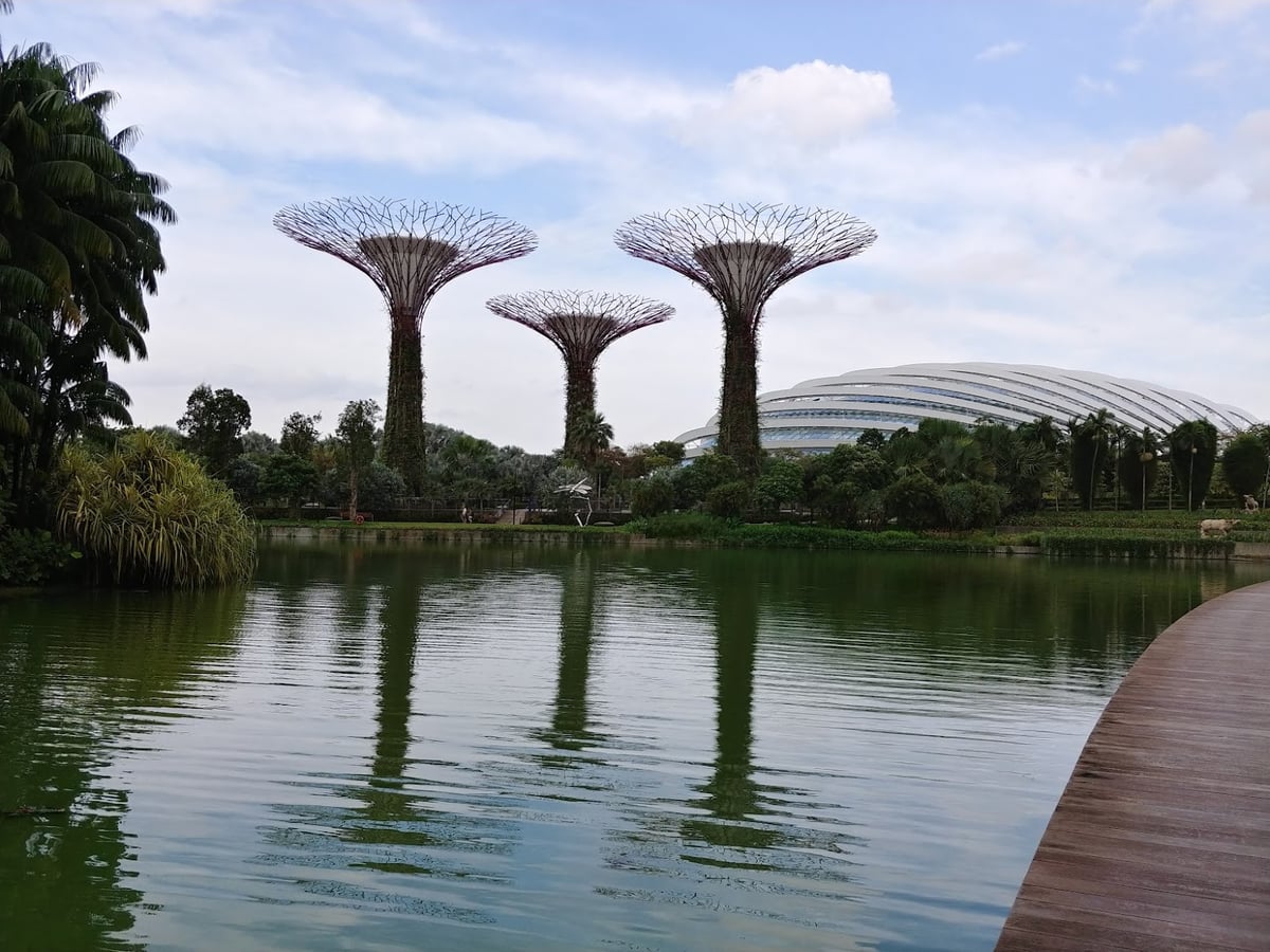 Supertrees y jardines de Gardens by the Bay en Singapur