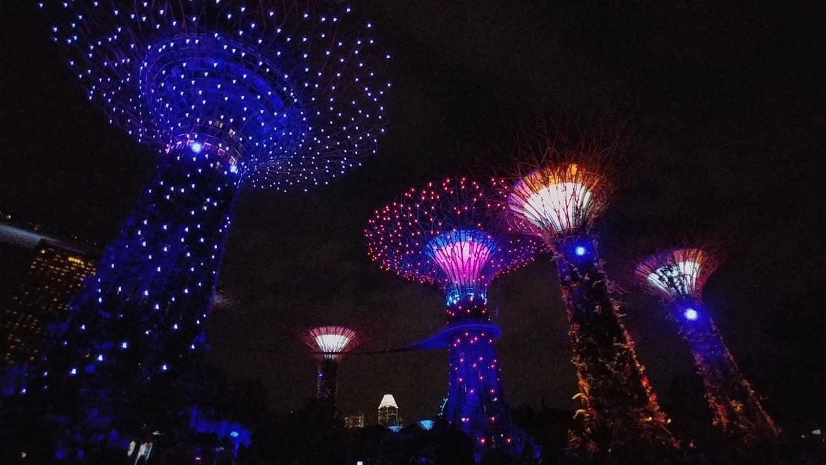 Supertrees de Gardens by the Bay iluminados por la noche