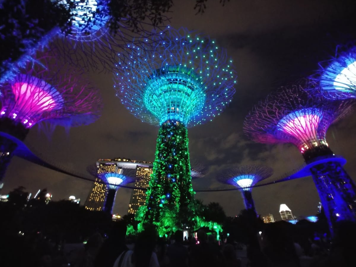 Supertrees de Gardens by the Bay iluminados por la noche