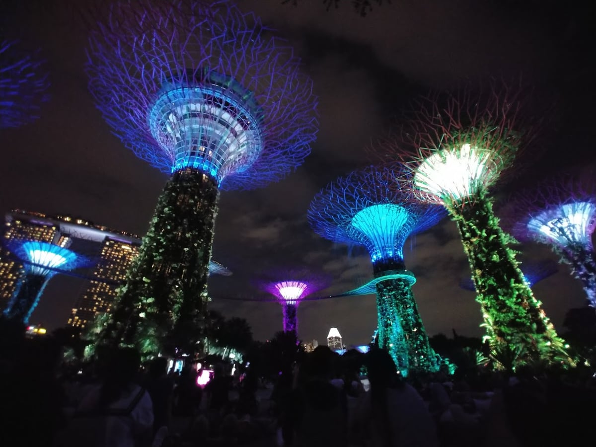 Supertrees de Gardens by the Bay iluminados por la noche