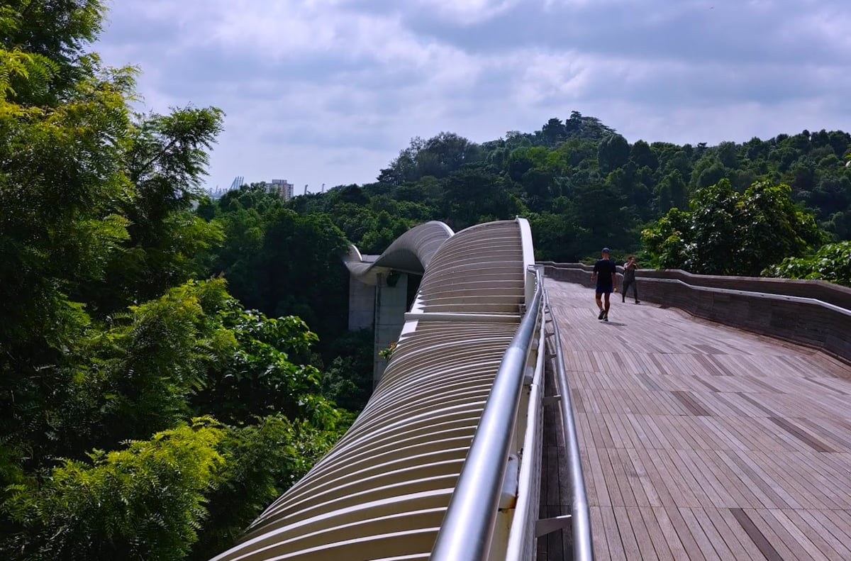 Paisaje de Singapur con zonas verdes y vistas del centro urbano