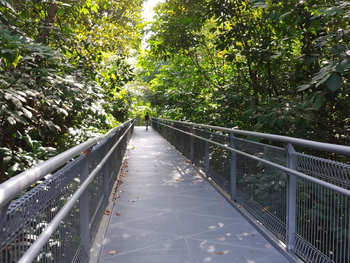 Paisaje de Singapur con zonas verdes y vistas del centro urbano