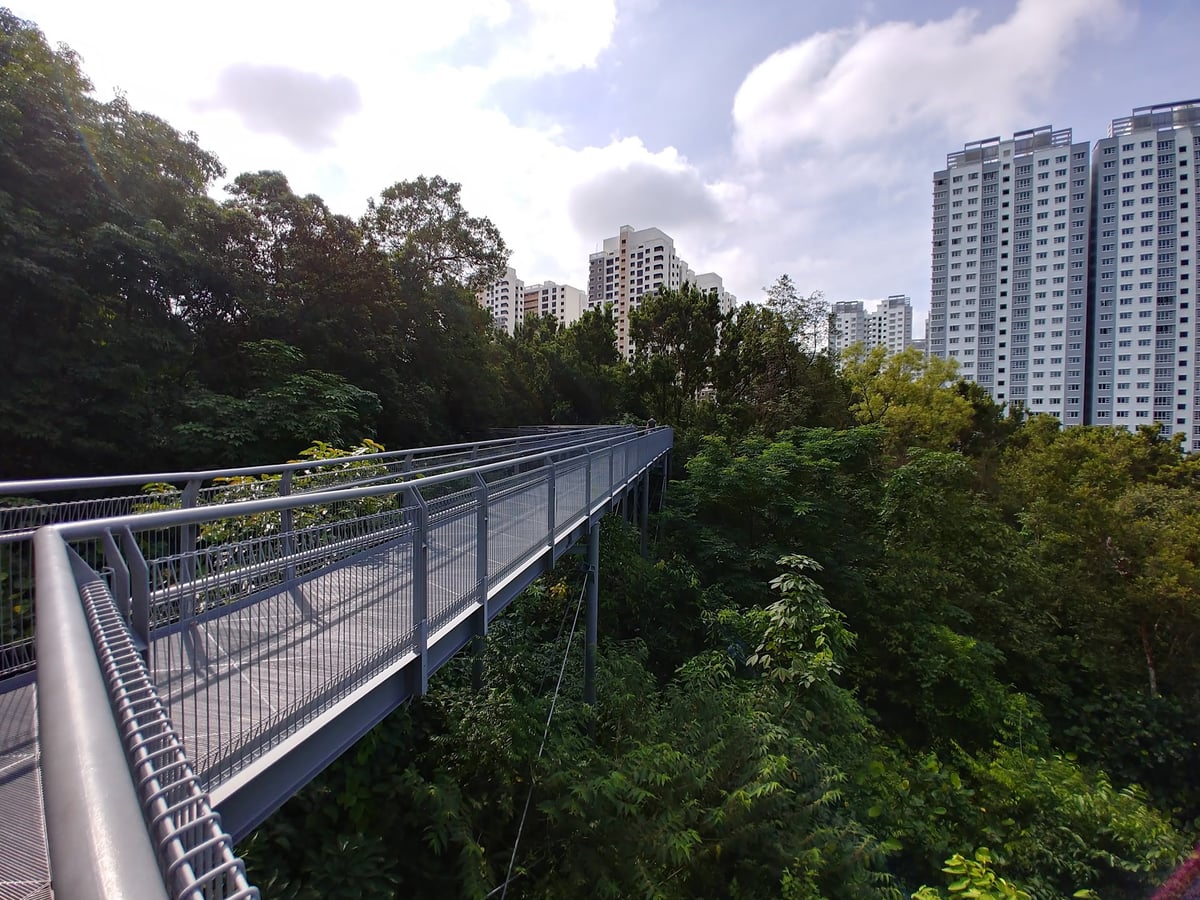 Paisaje de Singapur con zonas verdes y vistas del centro urbano