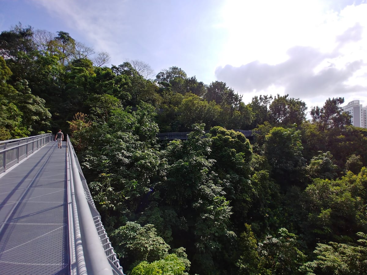 Paisaje de Singapur con zonas verdes y vistas del centro urbano