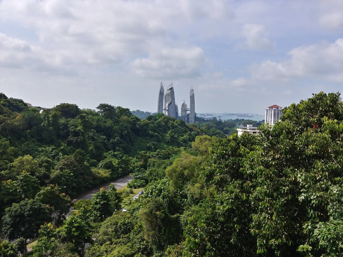 Paisaje de Singapur con zonas verdes y vistas del centro urbano