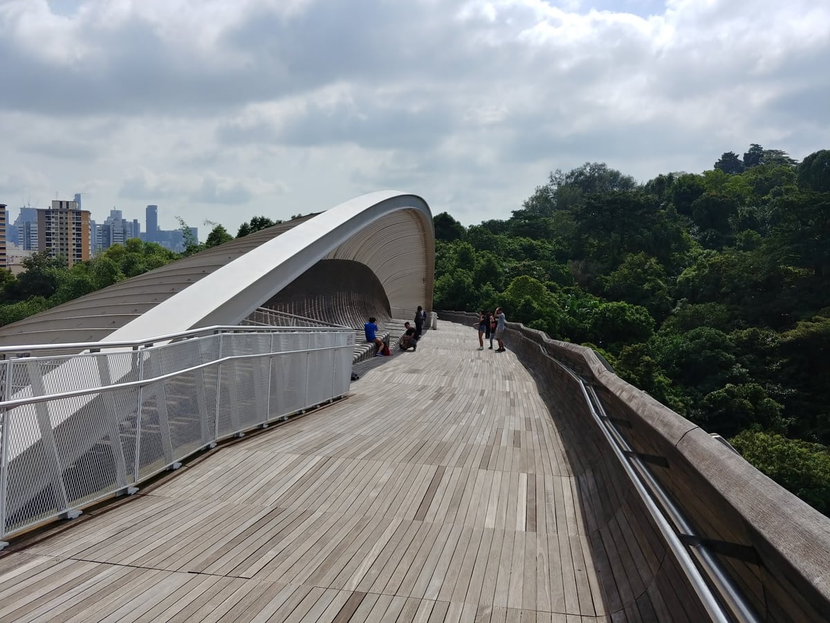 Paisaje de Singapur con zonas verdes y vistas del centro urbano