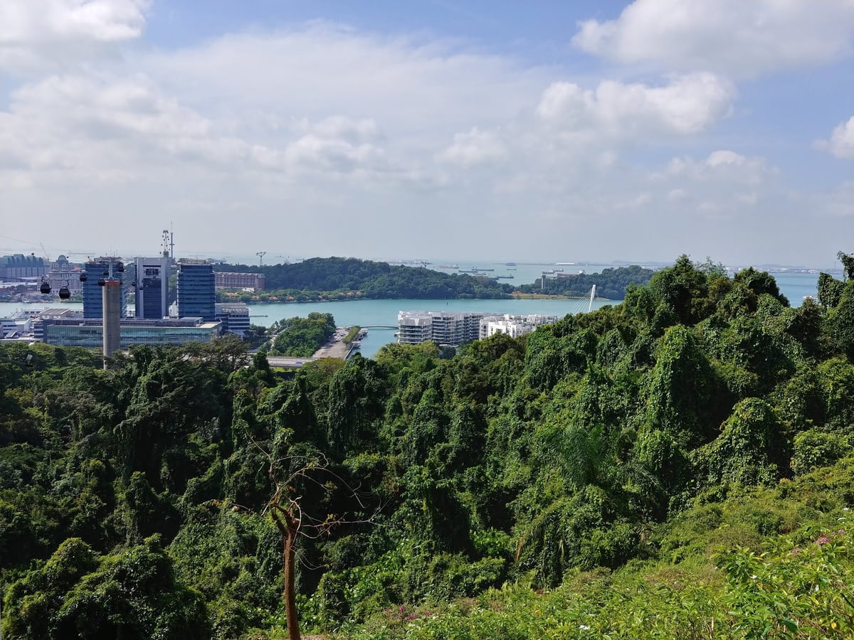 Paisaje de Singapur con zonas verdes y vistas del centro urbano