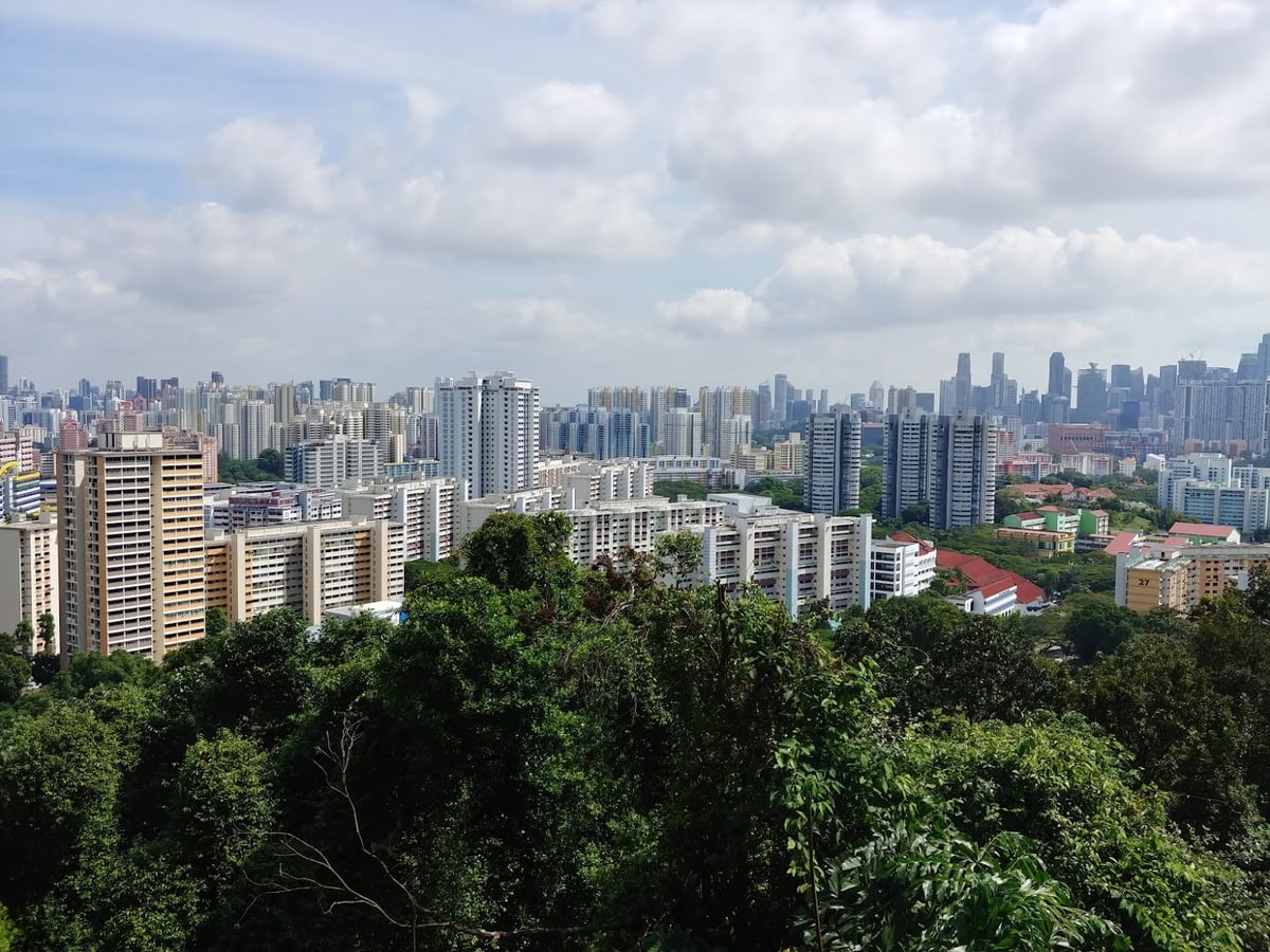 Paisaje de Singapur con zonas verdes y vistas del centro urbano