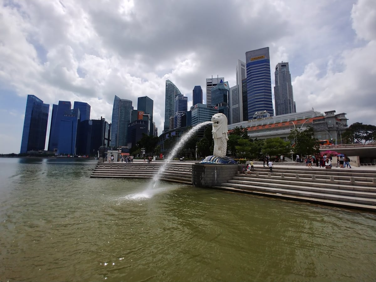 Paisaje de Singapur con zonas verdes y vistas del centro urbano.