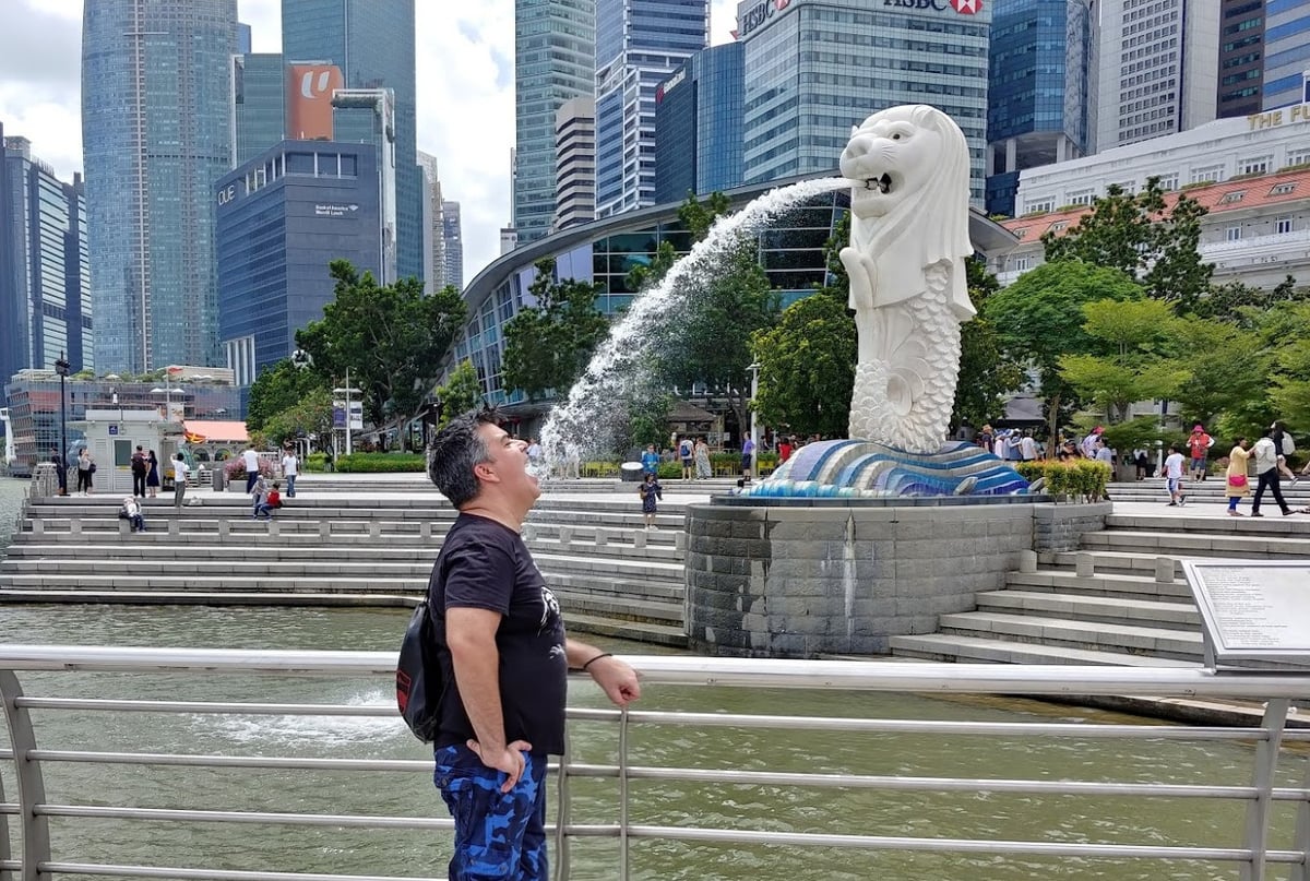 Paisaje de Singapur con zonas verdes y vistas del centro urbano