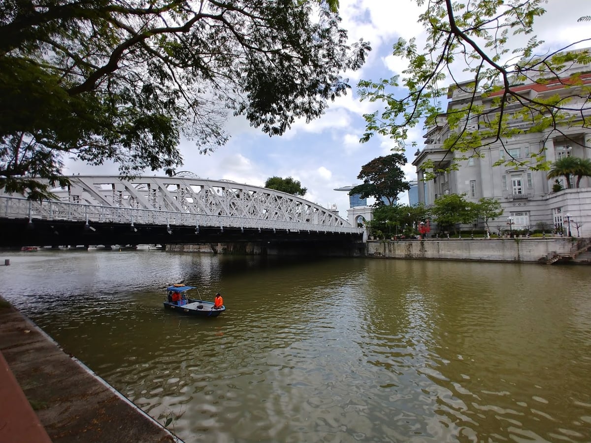 Paisaje de Singapur con zonas verdes y vistas del centro urbano