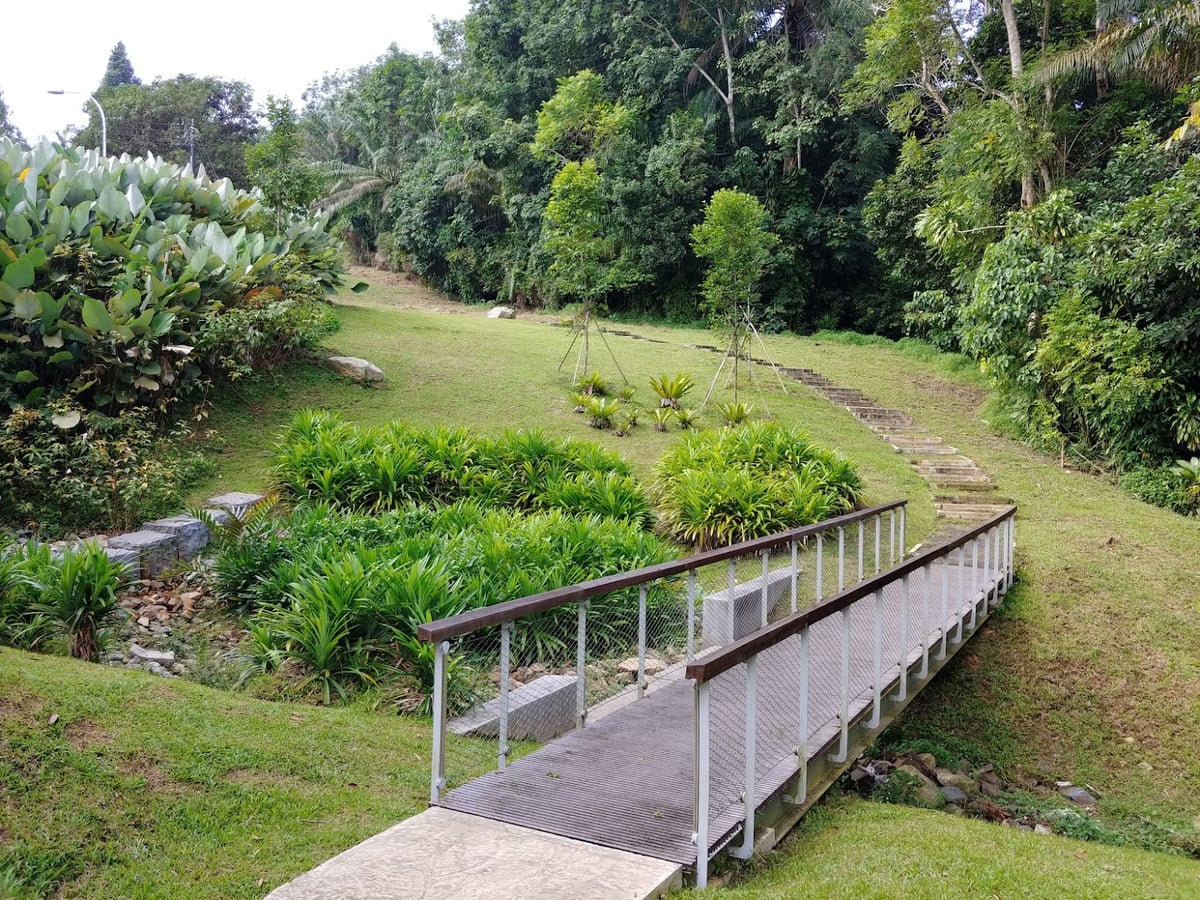 Sendero y paisaje natural de la reserva de Singapur con vegetación tropical