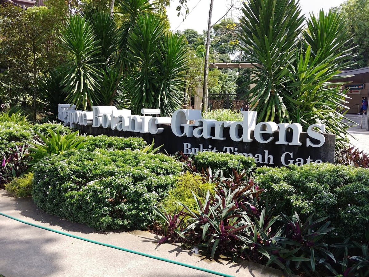 Sendero y paisaje natural de la reserva de Singapur con vegetación tropical
