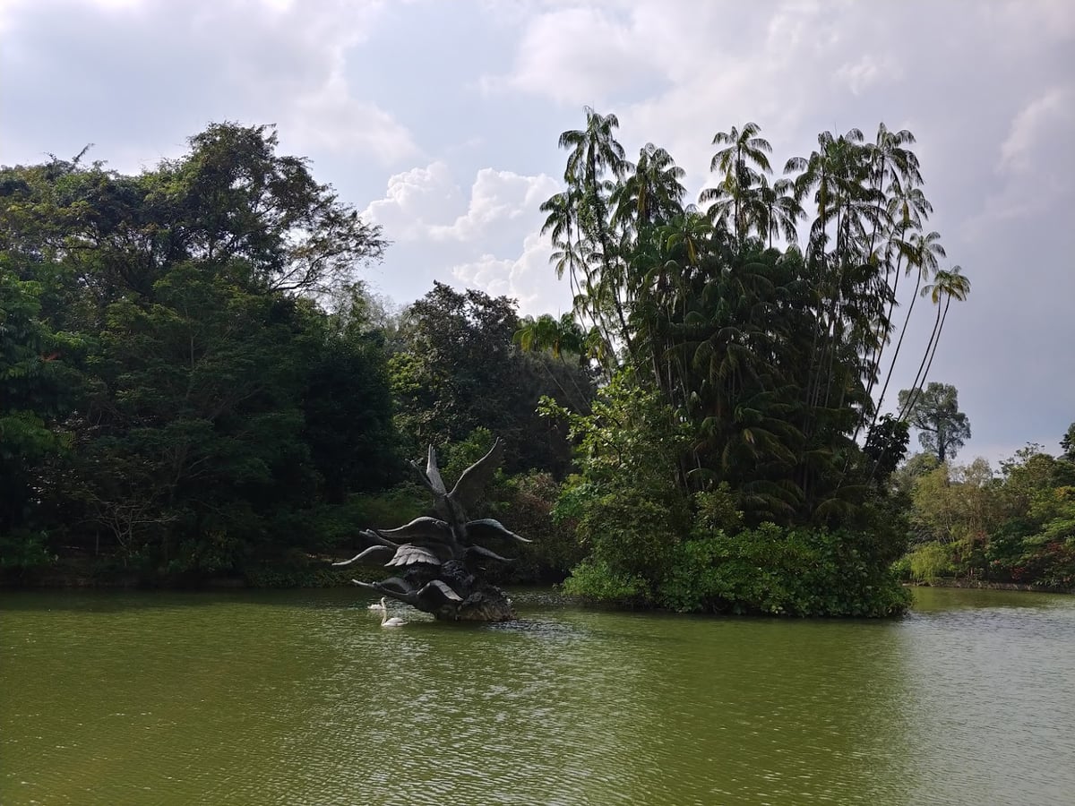 Sendero y paisaje natural de la reserva de Singapur con vegetación tropical