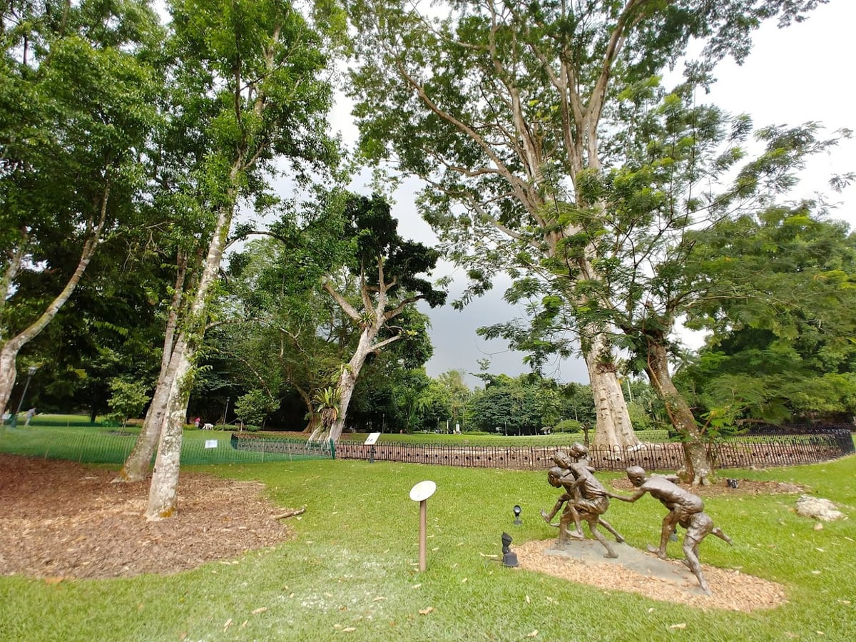 Sendero y paisaje natural de la reserva de Singapur con vegetación tropical