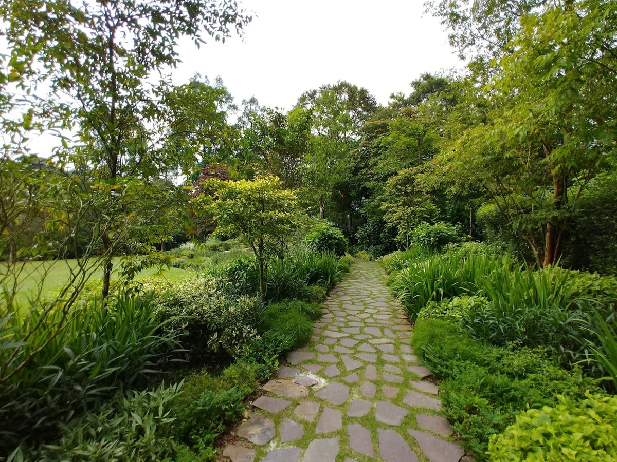 Sendero y paisaje natural de la reserva de Singapur con vegetación tropical