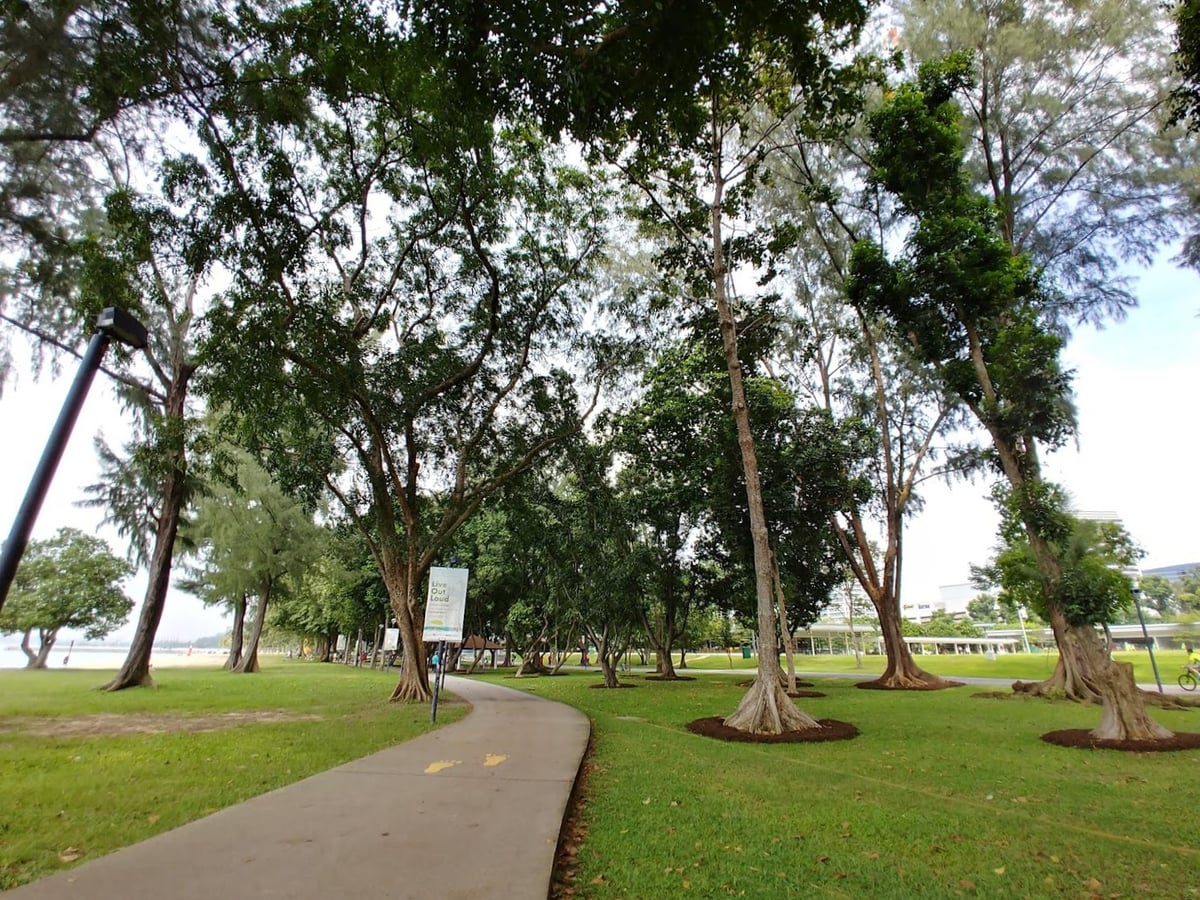 Paisaje urbano y lugares de interés del centro de Singapur