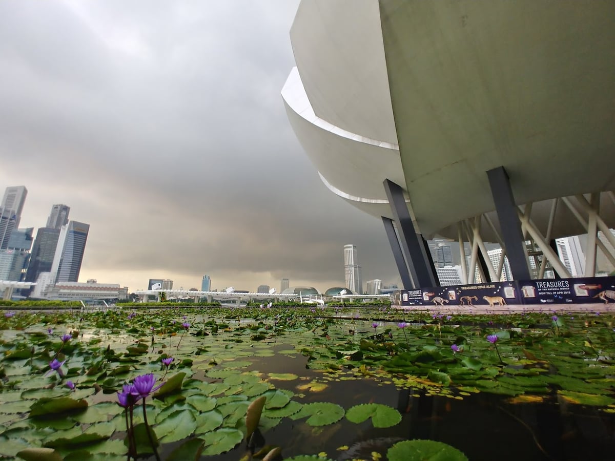 Paisaje urbano y lugares de interés del centro de Singapur