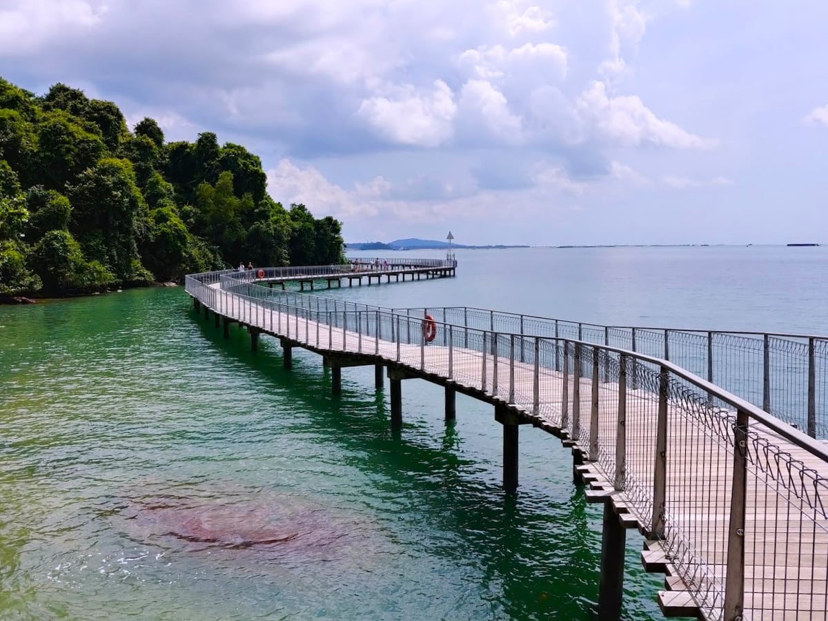 Paisaje natural de Pulau Ubin, Singapur, con senderos, bosque y costa