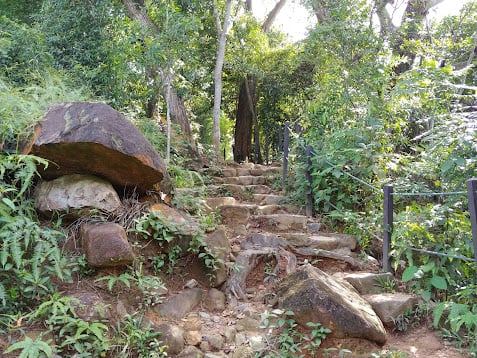 Paisaje natural de Pulau Ubin, Singapur, con senderos, bosque y costa