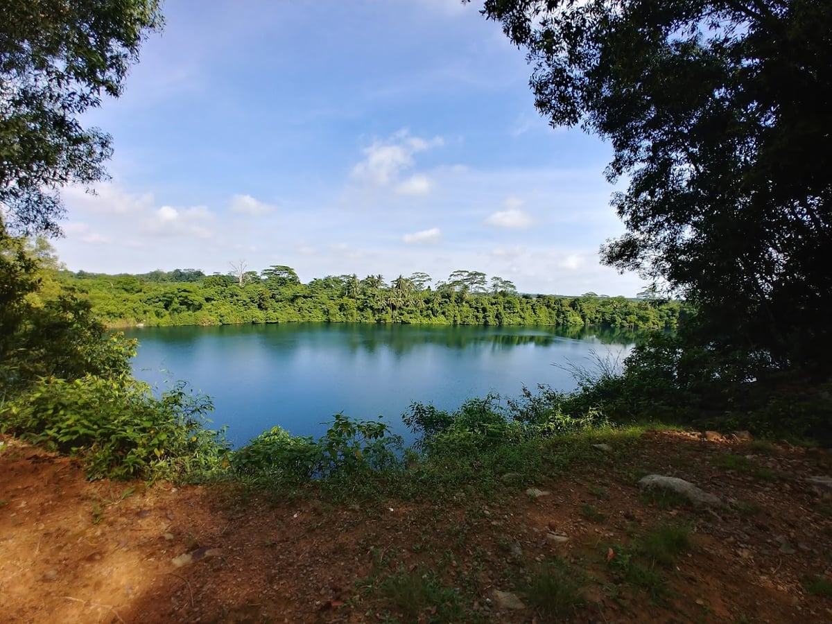 Paisaje natural de Pulau Ubin, Singapur, con senderos, bosque y costa