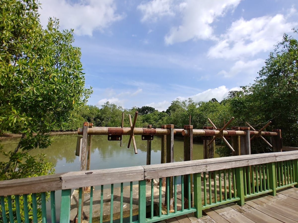 Paisaje natural de Pulau Ubin, Singapur, con senderos, bosque y costa