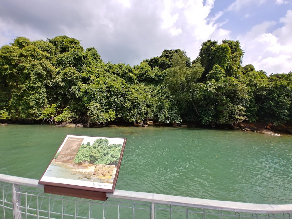 Paisaje natural de Pulau Ubin, Singapur, con senderos, bosque y costa