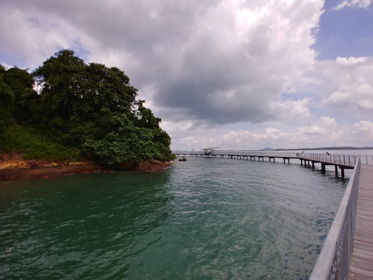 Paisaje natural de Pulau Ubin, Singapur, con senderos, bosque y costa.