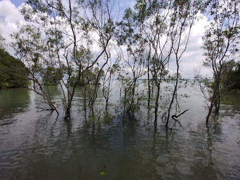 Paisaje natural de Pulau Ubin, Singapur, con senderos, bosque y costa