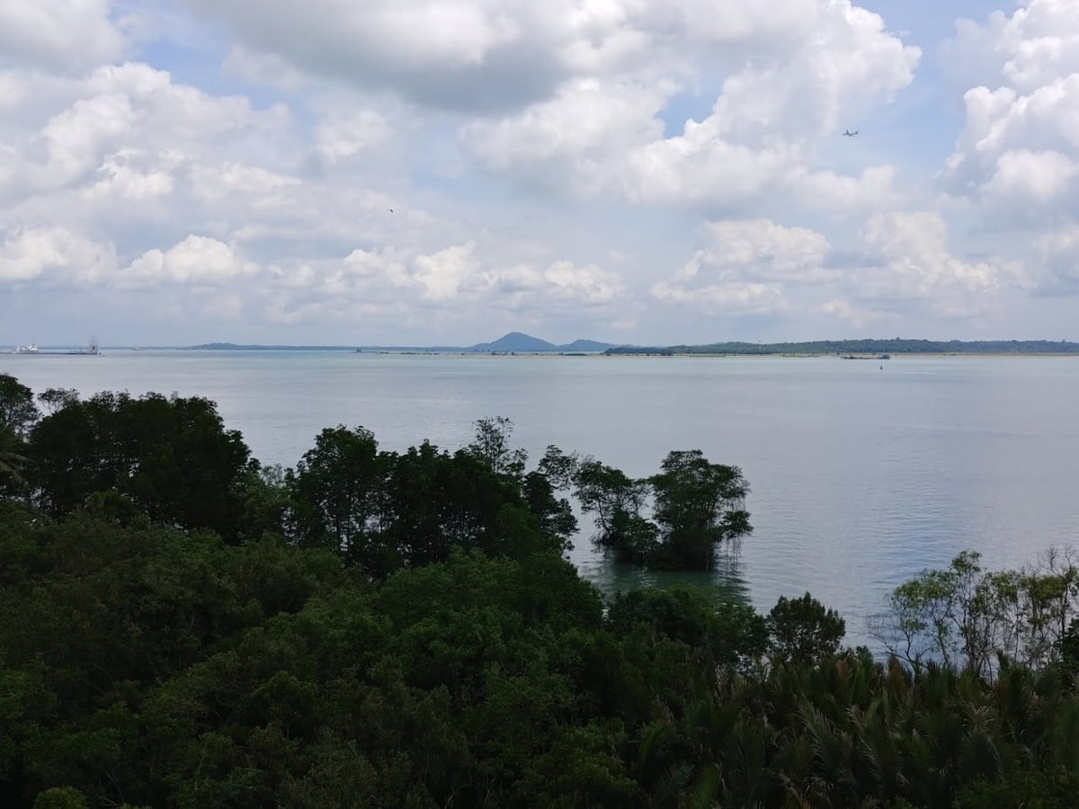Paisaje natural de Pulau Ubin, Singapur, con senderos, bosque y costa