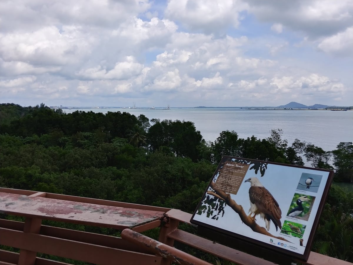 Paisaje natural de Pulau Ubin, Singapur, con senderos, bosque y costa