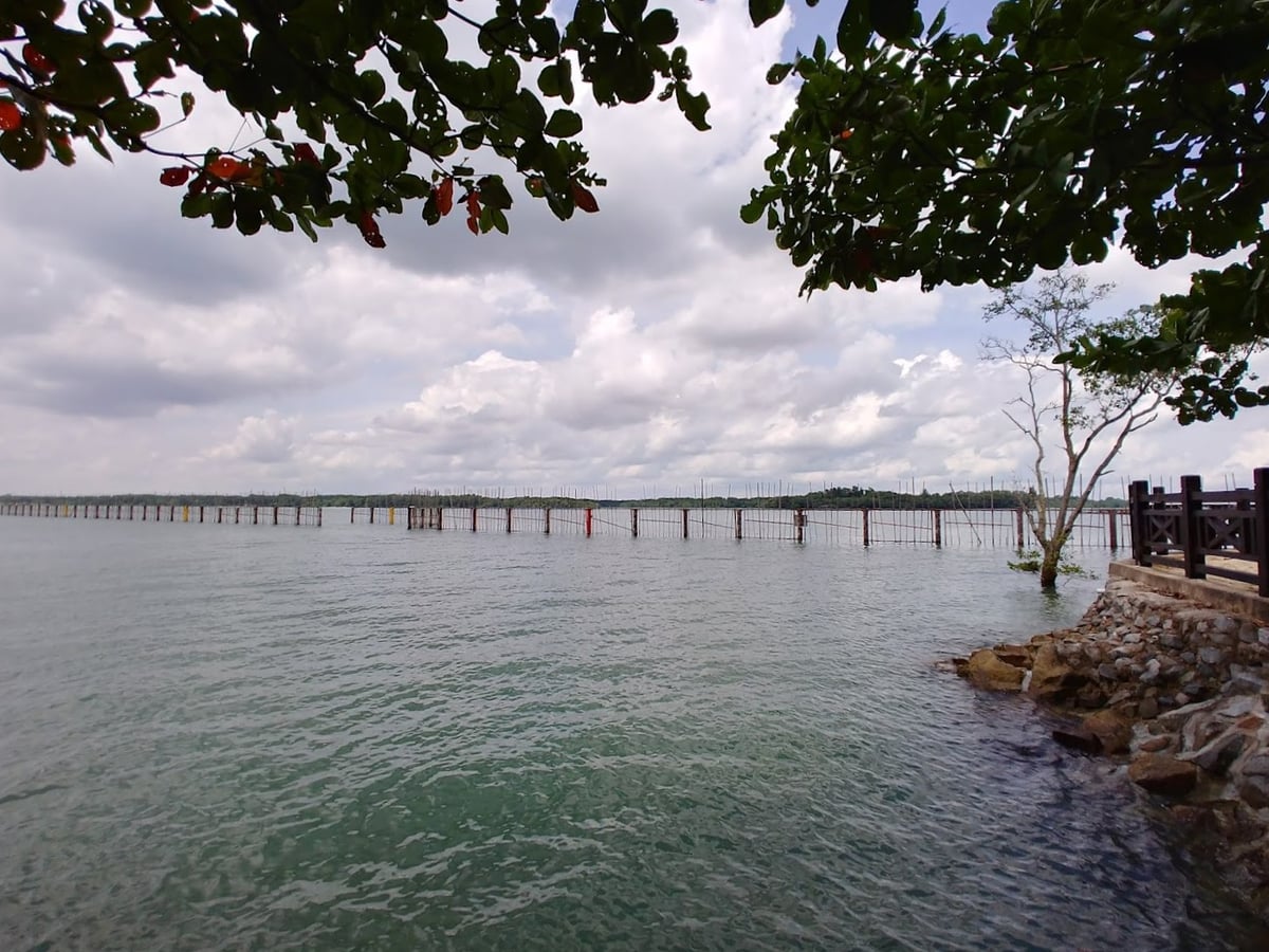 Paisaje natural de Pulau Ubin, Singapur, con senderos, bosque y costa