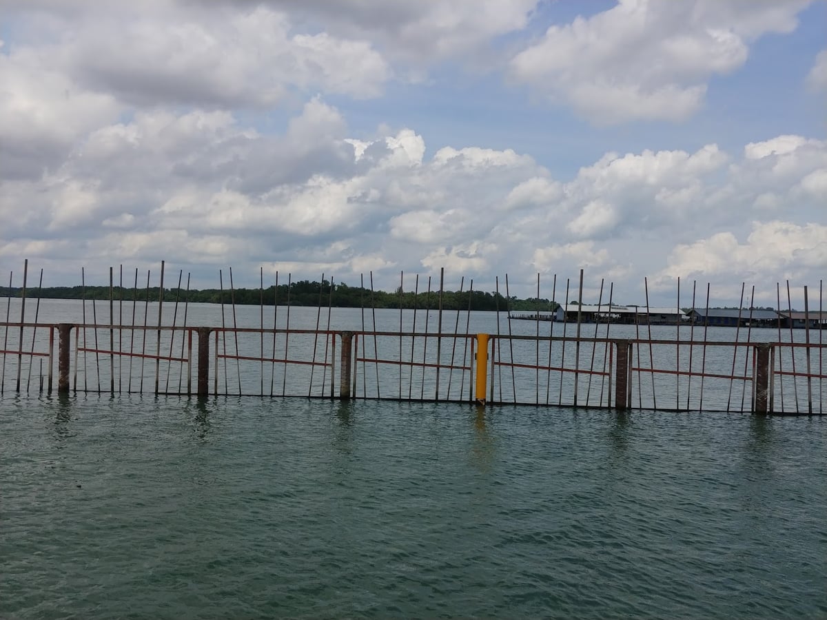 Paisaje natural de Pulau Ubin, Singapur, con senderos, bosque y costa
