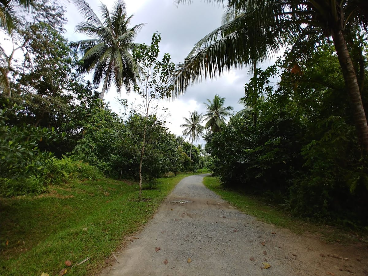 Paisaje natural de Pulau Ubin, Singapur, con senderos, bosque y costa