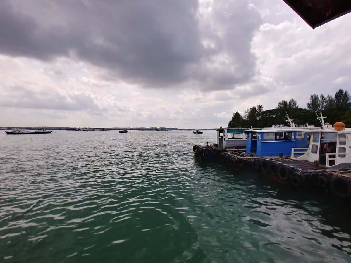 Paisaje natural de Pulau Ubin, Singapur, con senderos, bosque y costa