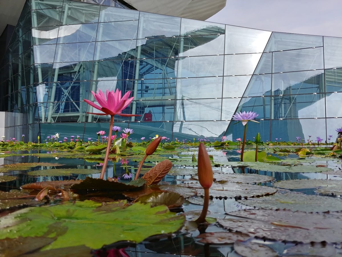 Paisaje de la isla de Sentosa en Singapur con playas, jardines y atracciones
