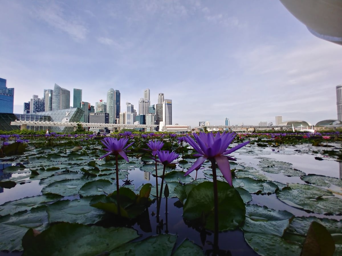 Paisaje de la isla de Sentosa en Singapur con playas, jardines y atracciones