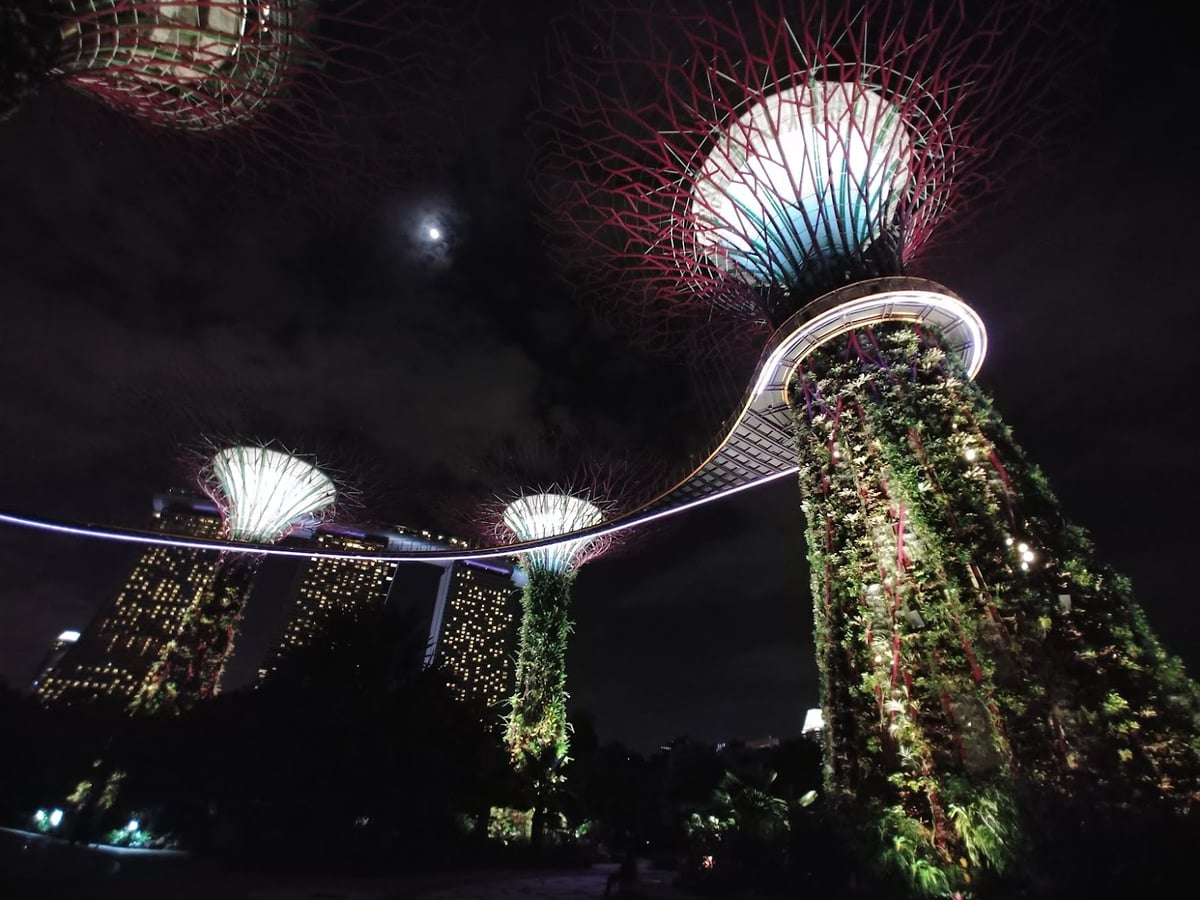Jardines y paisajes junto al agua en Singapur